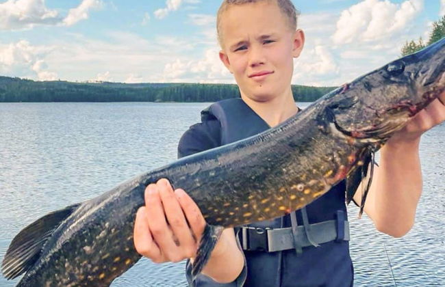 4 Person Holiday Home in Torpshammar-by Traum - Photo 10