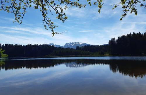 Ferienwohnungen beim Sommermader - Foto 46