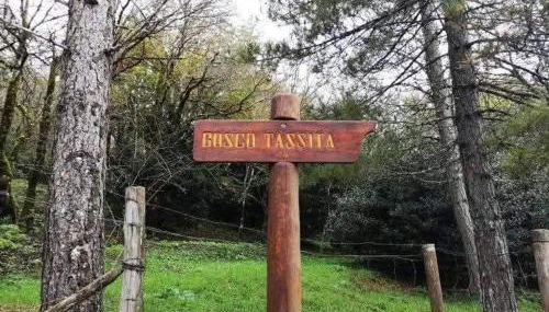 La casa dei nonni - Foto 2