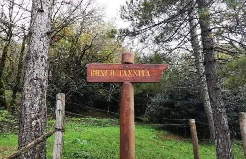 La casa dei nonni - Foto 2