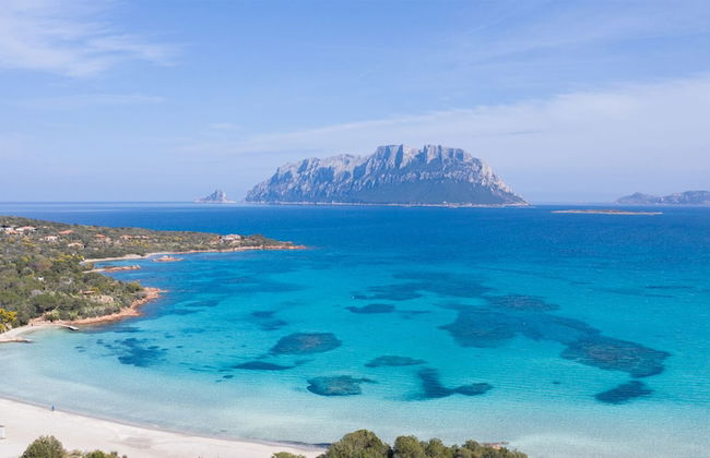 Capo Ceraso Family Residence - Photo 61