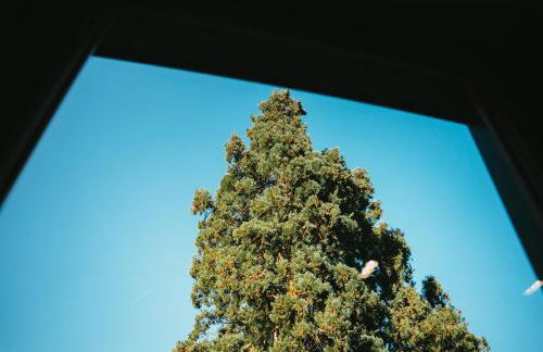 Le Grand Petit Prince - Domaine de Charme - Jacuzzis privatifs - Foto 53