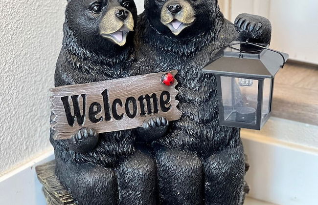 Log cabin in heart of Anchorage - Foto 45