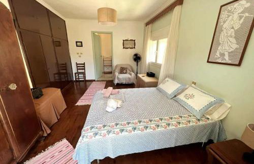 Traditional house with fresh vegetables garden - Foto 33