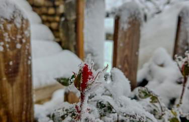 #914 Home - Irpinia - Foto 104