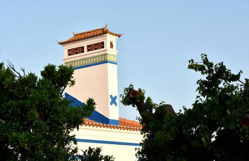 Monte Casa Branca - Foto 16