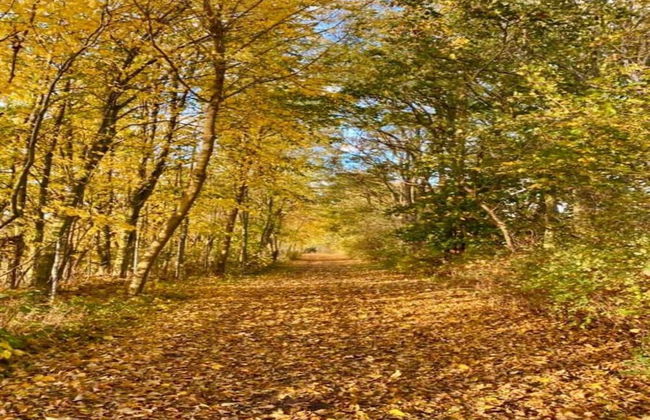 Cozy Holiday Home in Hohenkirchen near Baltic Sea - Foto 22