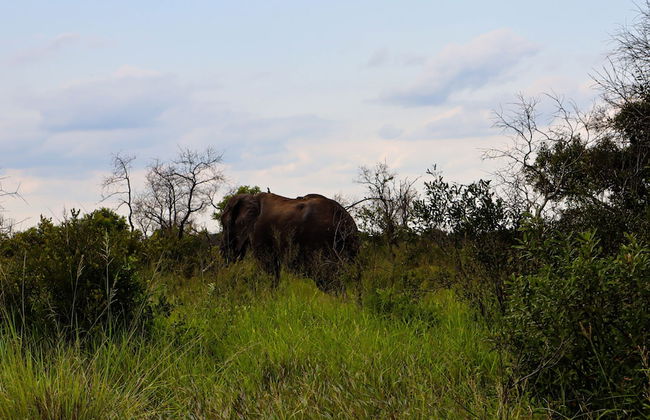 Self Catering Chalets - Manyeleti - Foto 25