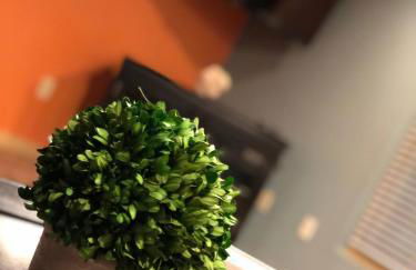 Luxury European Style Executive Apartment B Large - Foto 7