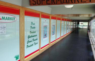 Vetrate sul bosco - Foto 24