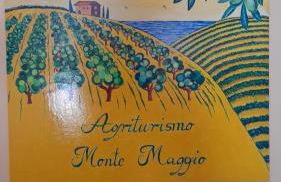 Agriturismo MonteMaggio - Foto 65