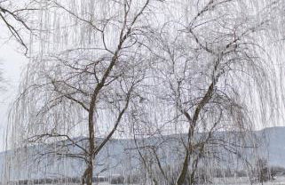 Gacka idila - Photo 12