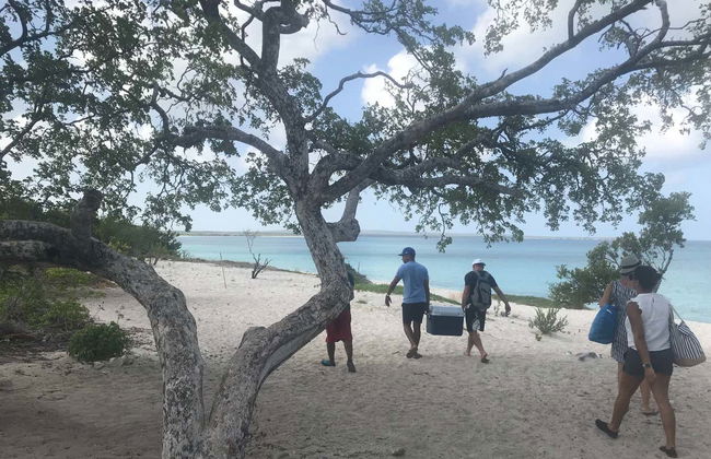 Excursion à Bahía de las Águilas - Photo 6