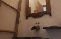 ALDEIA DOS ORVALHOS - VILLAGE By MAYORAL - Foto 19