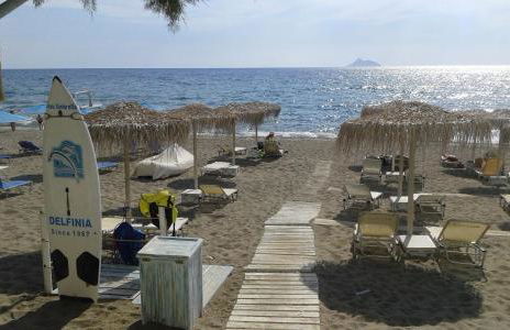 Little Octopus - Photo 18