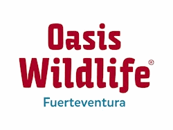 Oasis Wildlife Fuerteventura - Foto 12