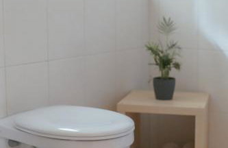 No 19 in the Black Forest - Foto 16