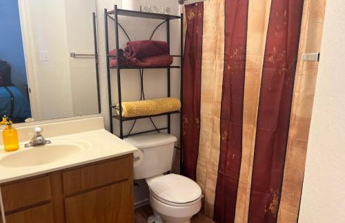 The Bobcat - Foto 12