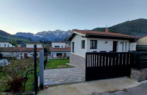 Mirando a los Picos de Europa - Foto 1