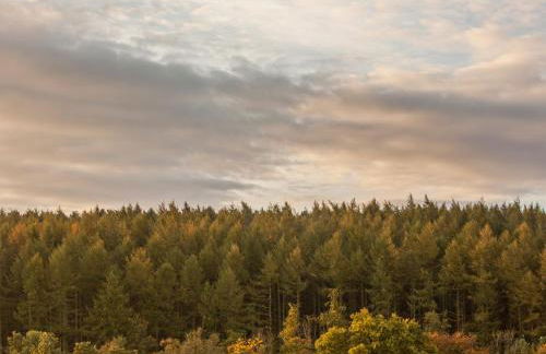 Three The Old Stables - Foto 13