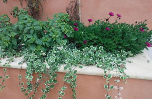 Appartement Le Romarin - Foto 18