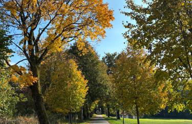 Ferienwohnung Eckis Eck - Foto 44