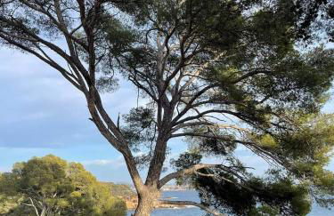 Villa Cocody - Foto 63