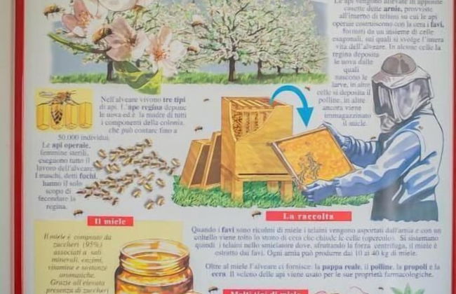 Agriturismo Trefrutti - Foto 31