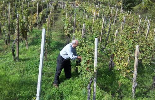 Agriturismo Al Palaz - Foto 36