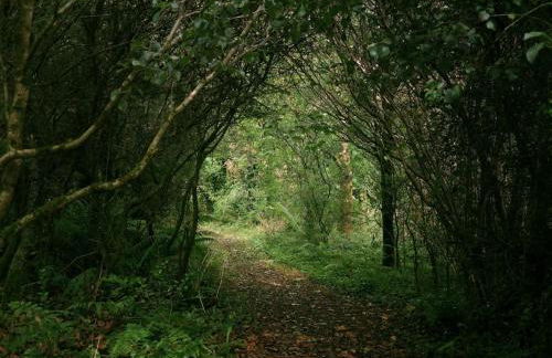 Cosy bijou retreat - Foto 21