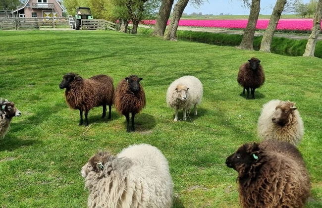 Country Life Comfortable Holiday Residence - Foto 10