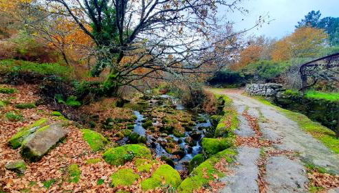 Charming house in Lindoso with terrace and parking included - Foto 5