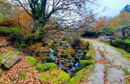 Charming house in Lindoso with terrace and parking included - Foto 5