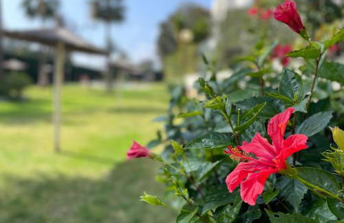 Marbella Puerto Banus charming 1 bedroom apartment - Foto 27