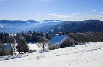 Les Hauts de la Piquante Pierre - Foto 31