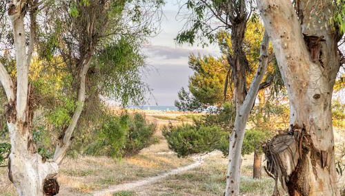 Holiday fronte mare & spiagge - Foto 3