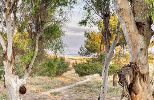 Holiday fronte mare & spiagge - Foto 3