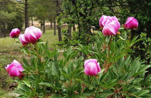 Casa del Viento - Foto 7