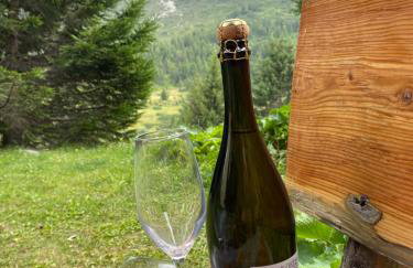 La Casa di Mares - Ski, Bike&Hike - Foto 15