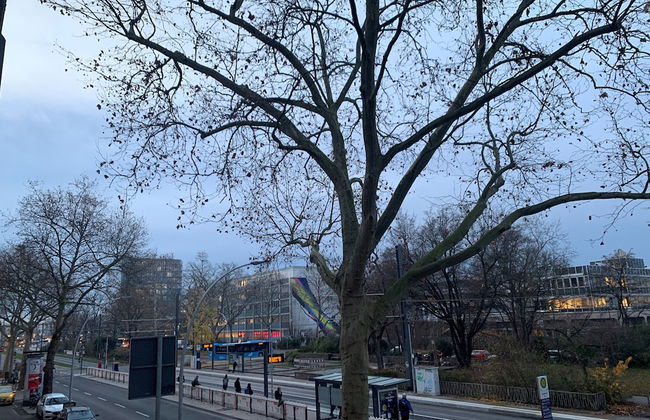 Heidelberg Hospitality Boarding House - Photo 25