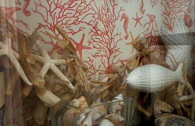 Entre Ciel et Marais - Foto 48