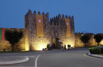 Quinta das Covas - Trancoso - Foto 27