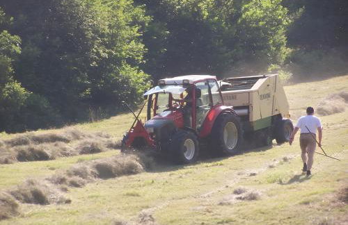 Gästehaus Brigitte Schoch - Photo 11