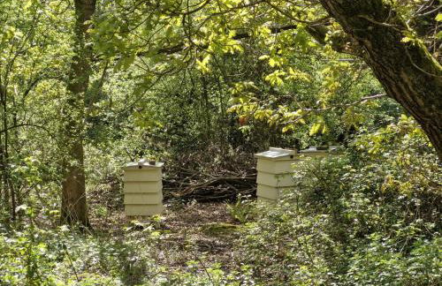 The Bakers Hut - Foto 20