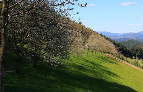 Ferienwohnungen Beilerstädtle - Foto 28