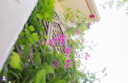 Schillhörn - Urlaub mit Wasserblick - Photo 28