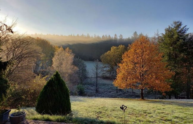 Holiday Apartment Hammergrund - Foto 25