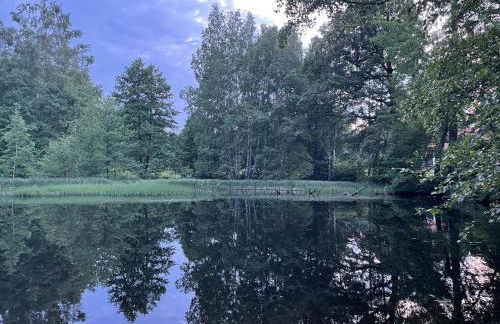 Apartment Beletage Bad Harzburg - Foto 45