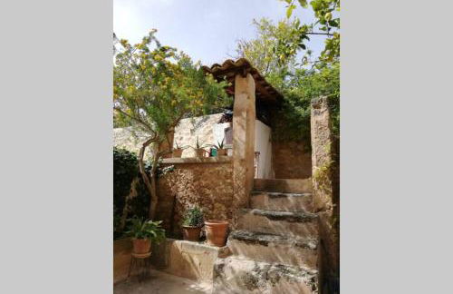 Cas Potecari - Foto 12