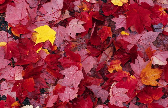 Chalet in Durbuy With Sauna & Nature Views - Photo 4